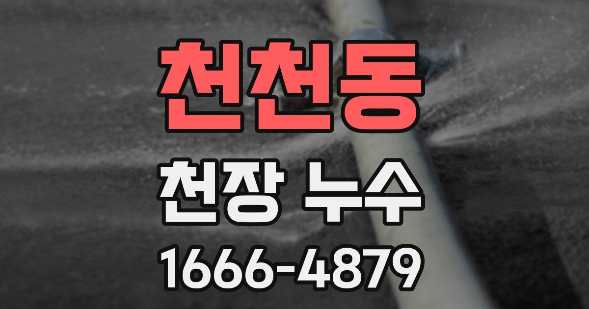 천천동 천장 누수