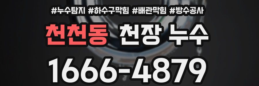 천천동 천장 누수