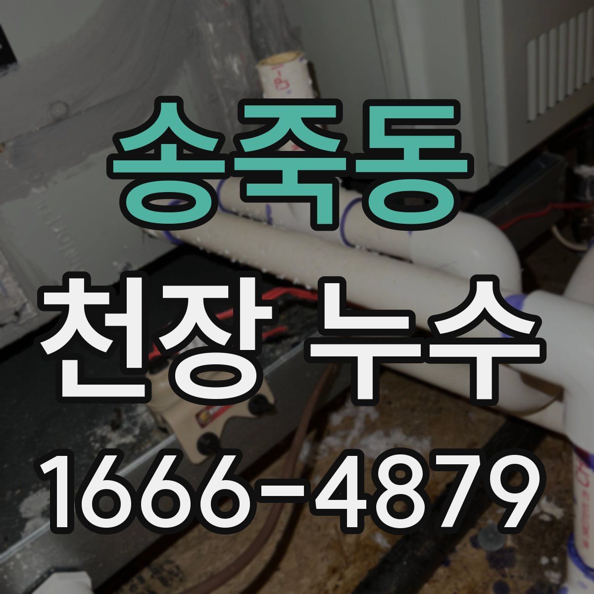 송죽동 천장 누수