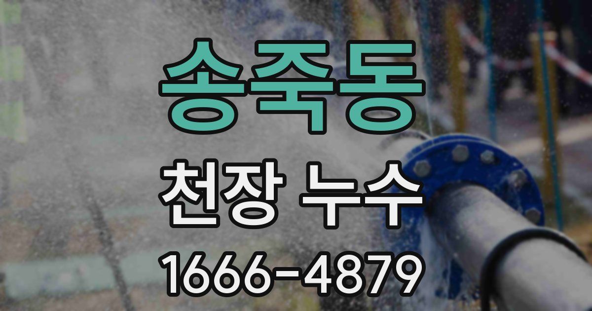 송죽동 천장 누수