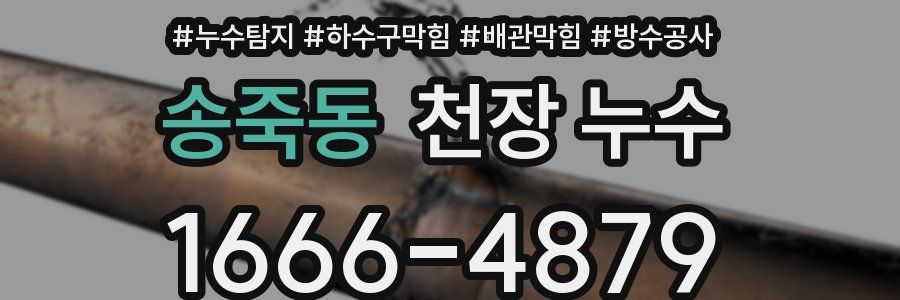 송죽동 천장 누수