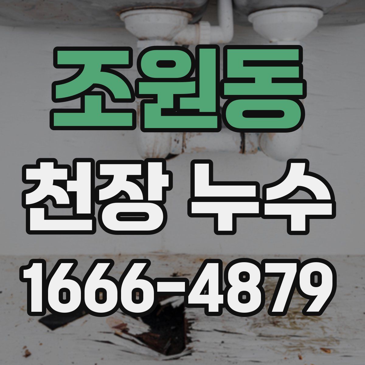 조원동 천장 누수