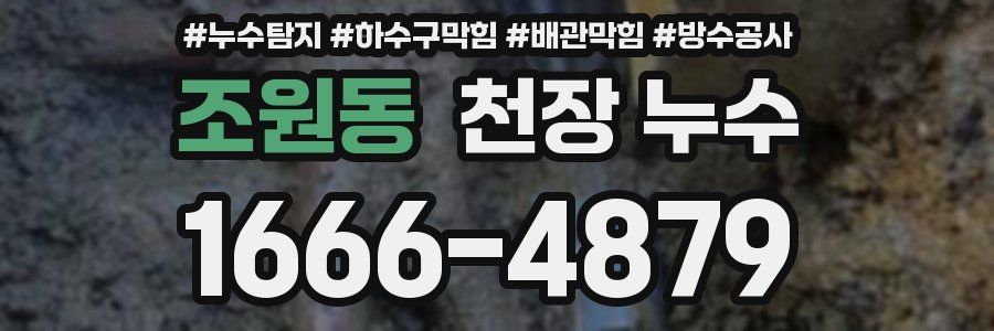 조원동 천장 누수