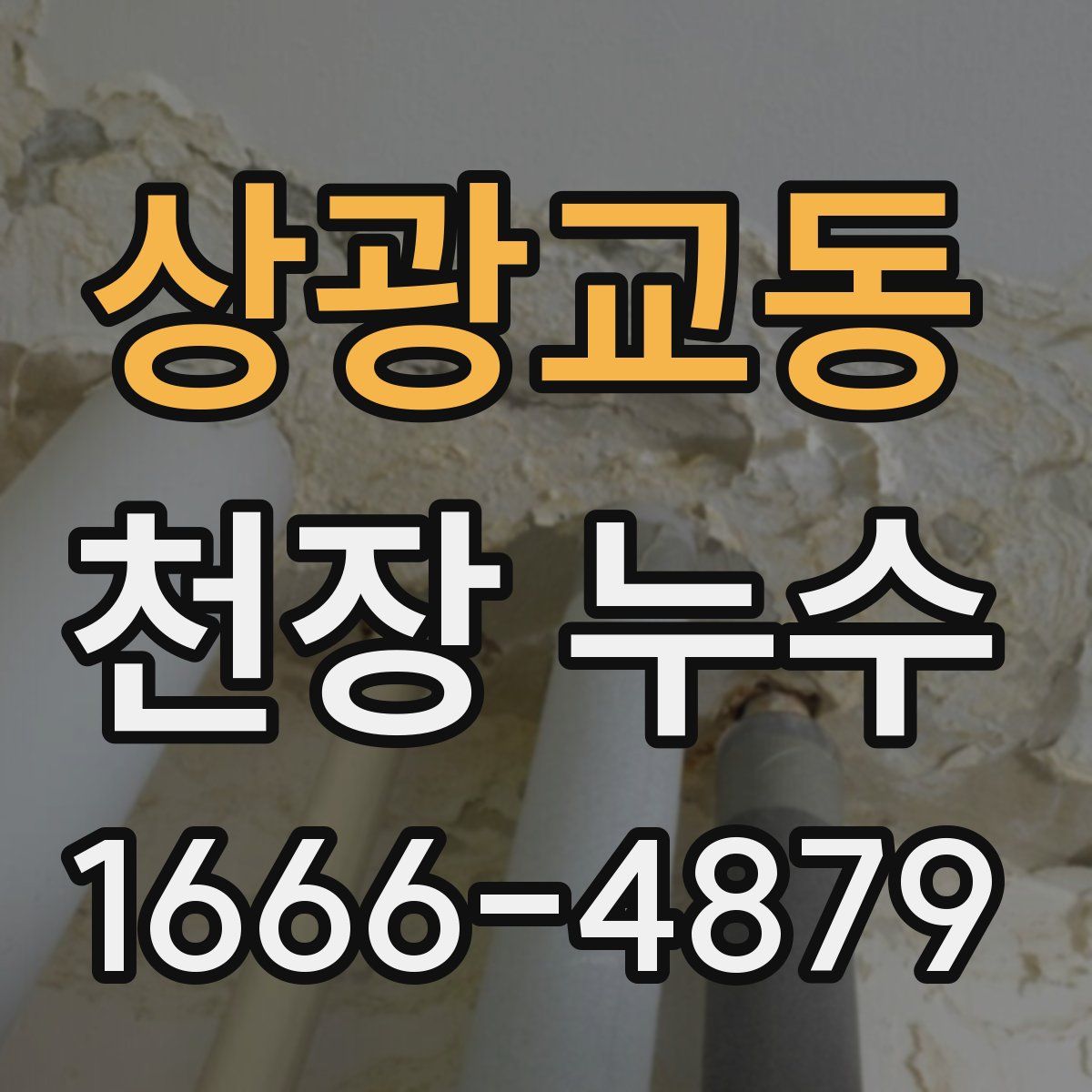 상광교동 천장 누수