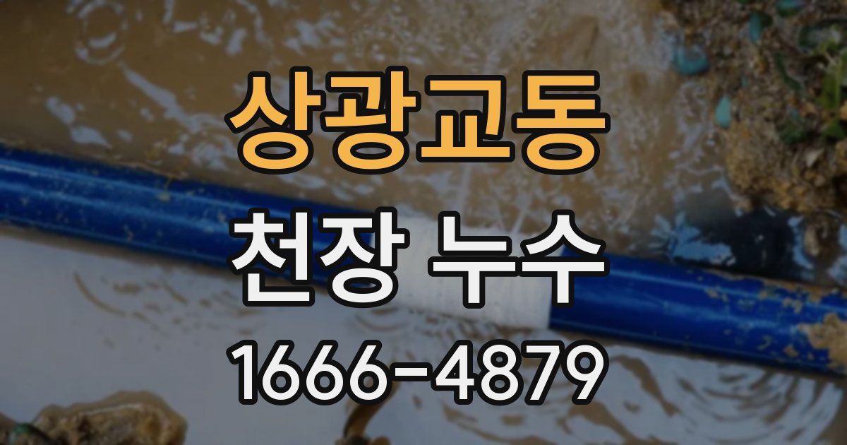 상광교동 천장 누수