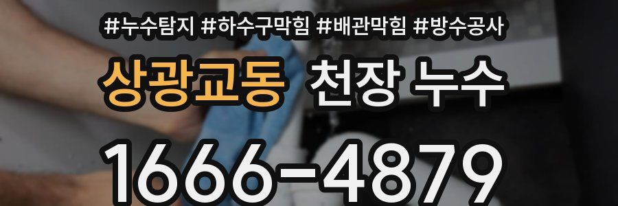 상광교동 천장 누수