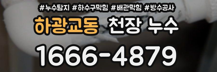 하광교동 천장 누수