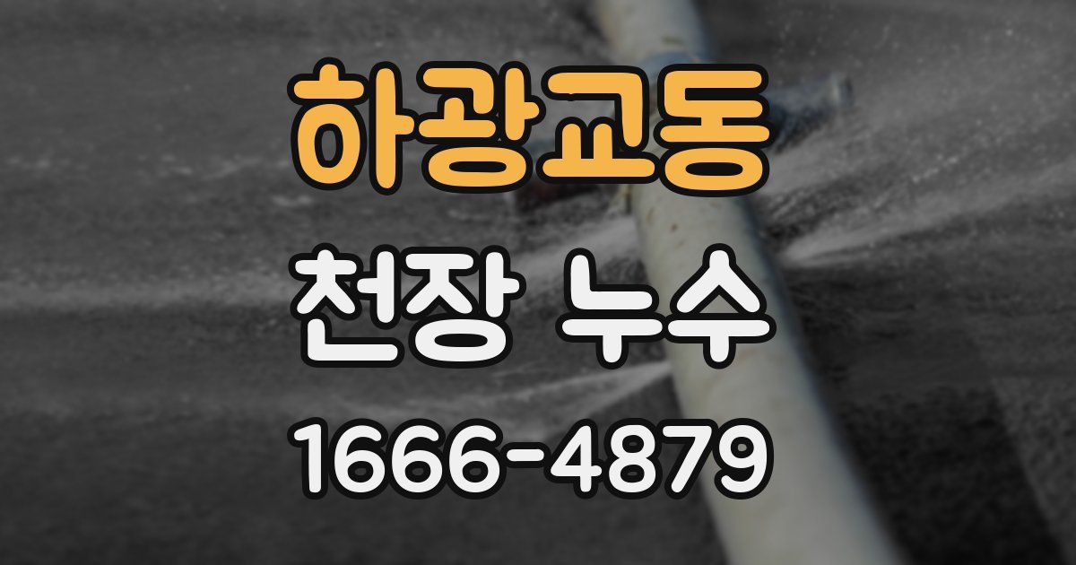 하광교동 천장 누수