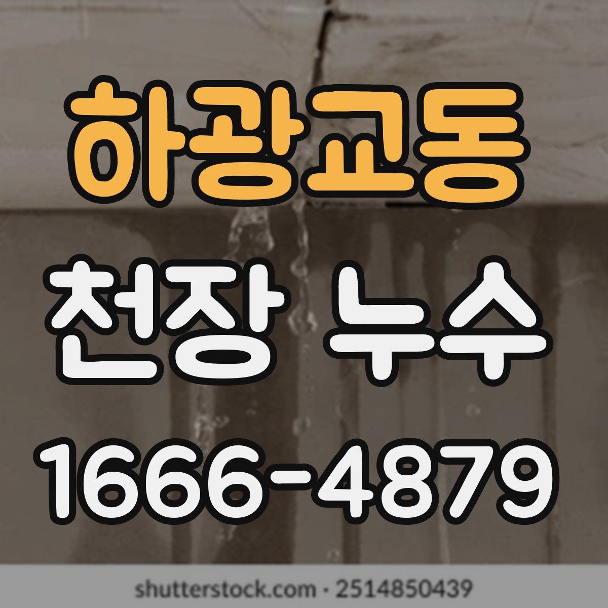 하광교동 천장 누수