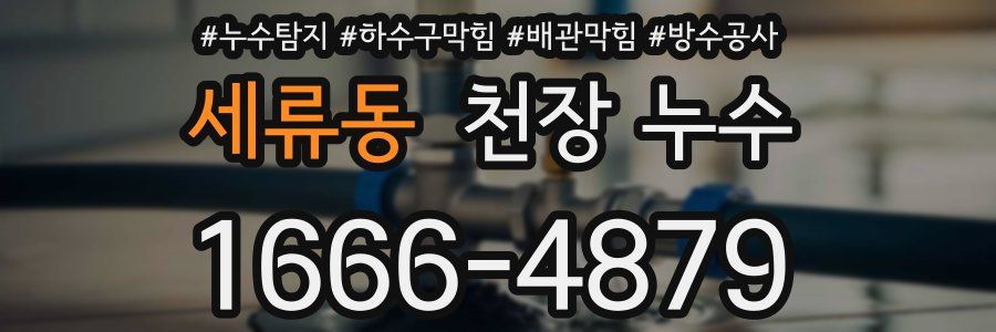 세류동 천장 누수