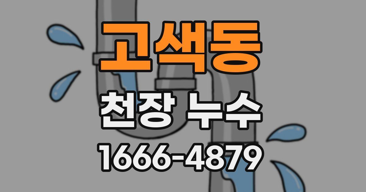 고색동 천장 누수