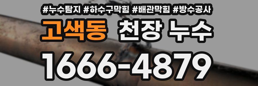 고색동 천장 누수