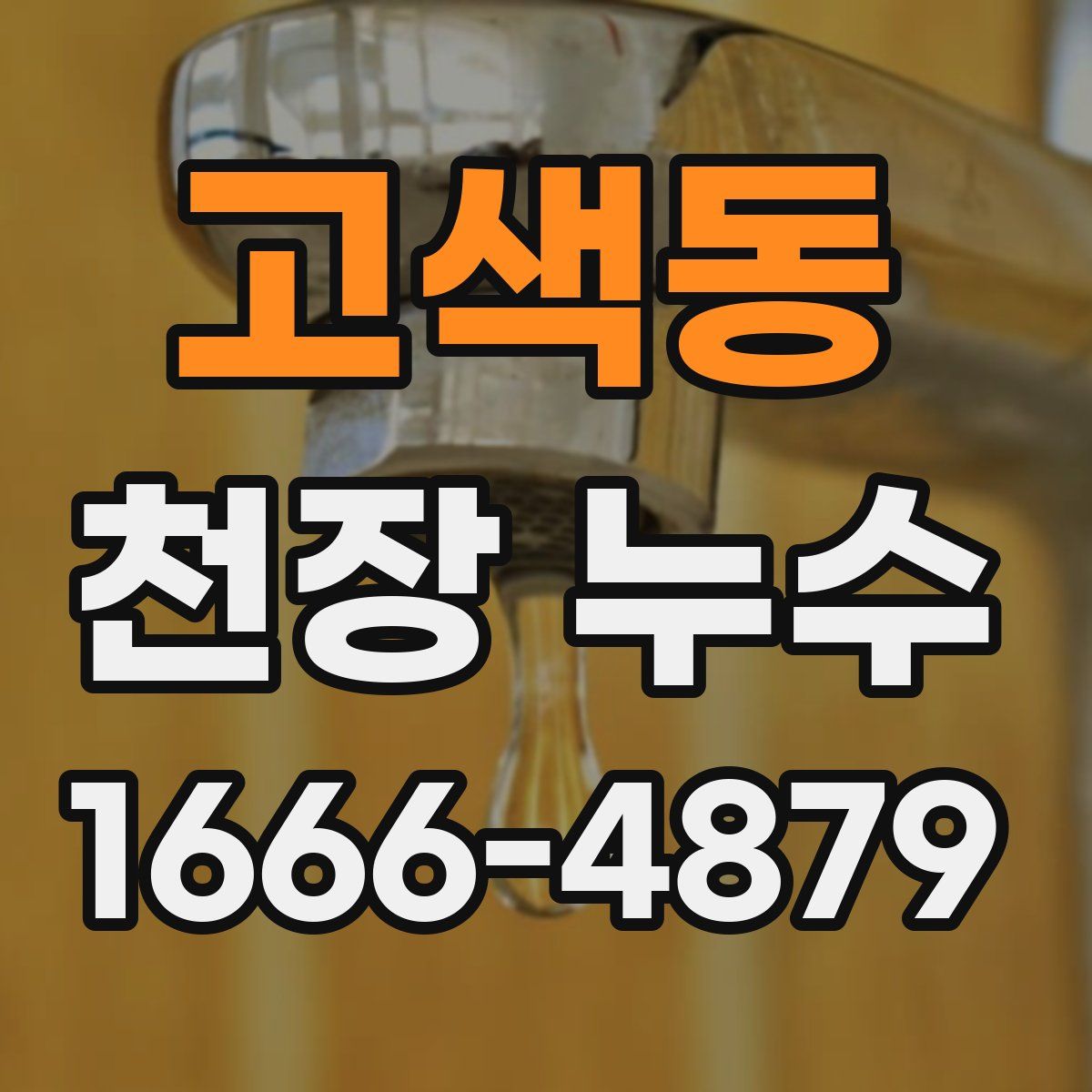 고색동 천장 누수