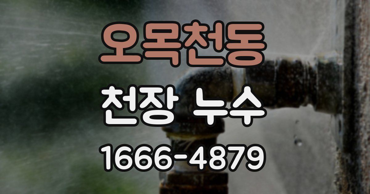 오목천동 천장 누수