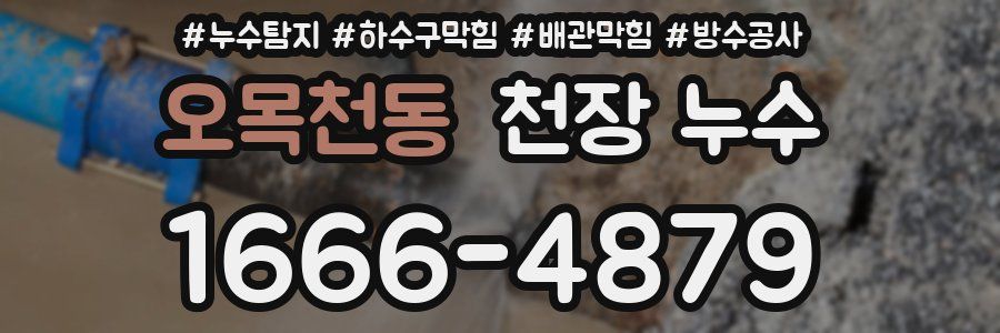 오목천동 천장 누수