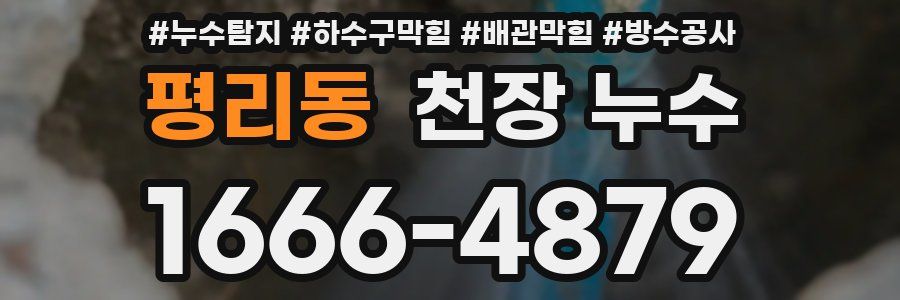 평리동 천장 누수