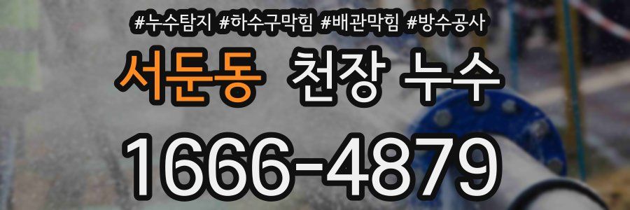서둔동 천장 누수