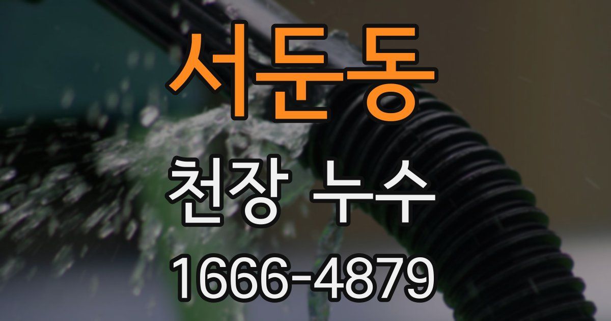 서둔동 천장 누수