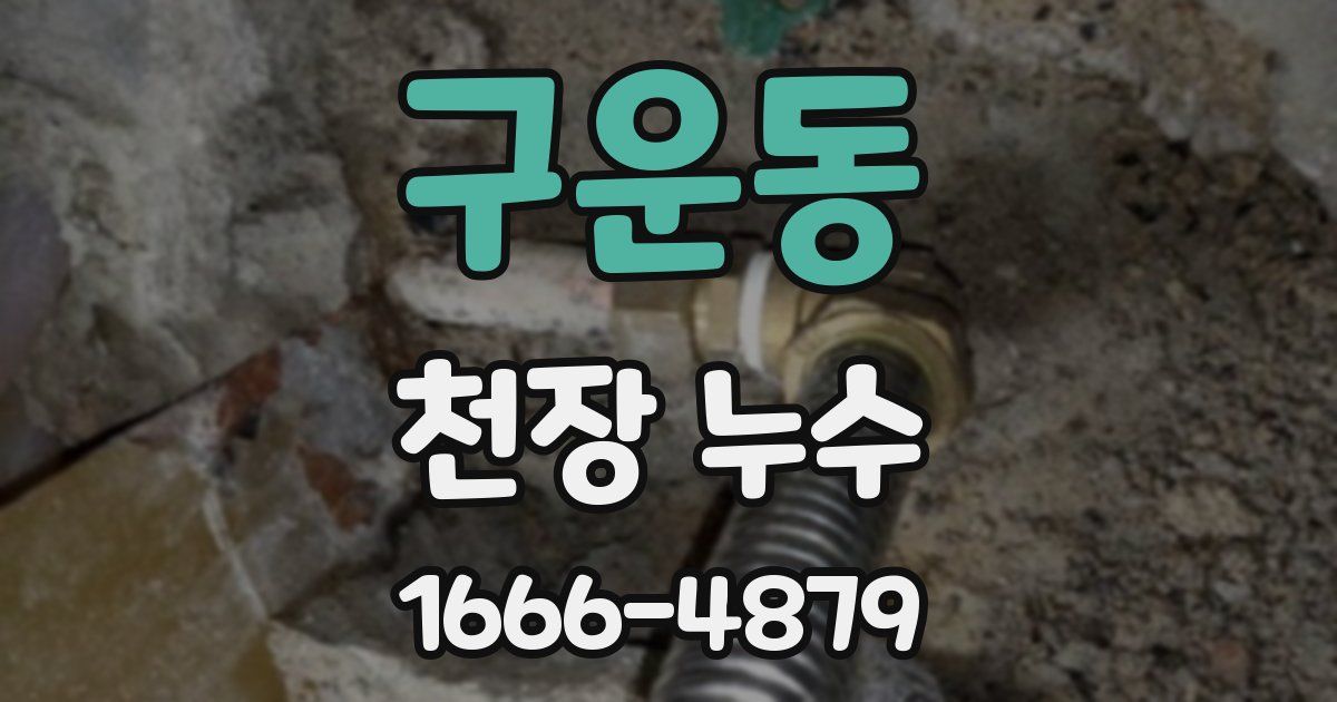 구운동 천장 누수