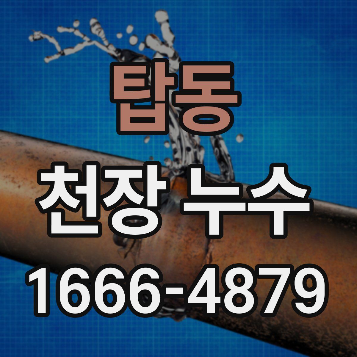탑동 천장 누수