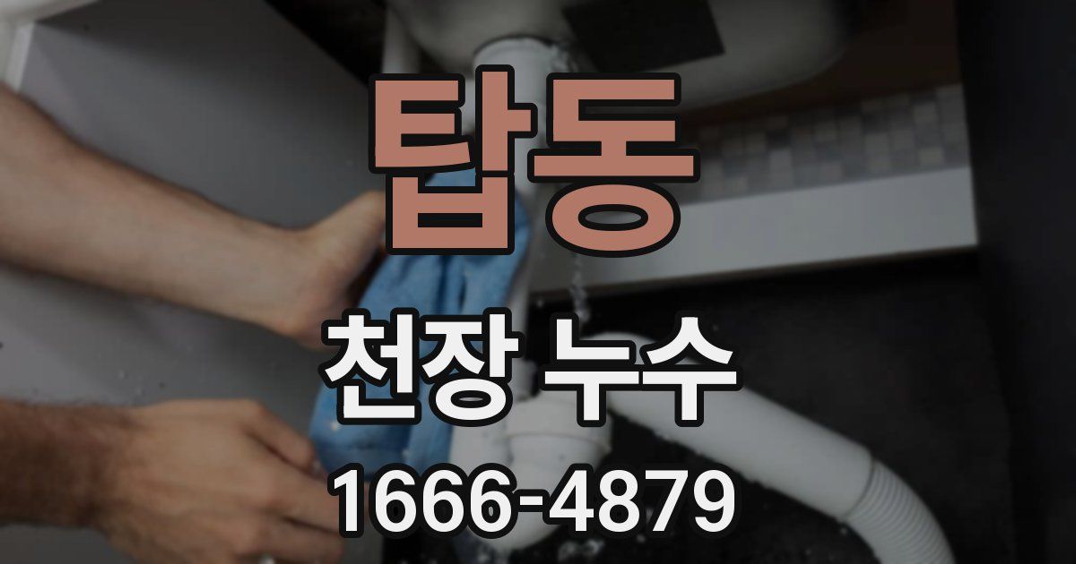 탑동 천장 누수