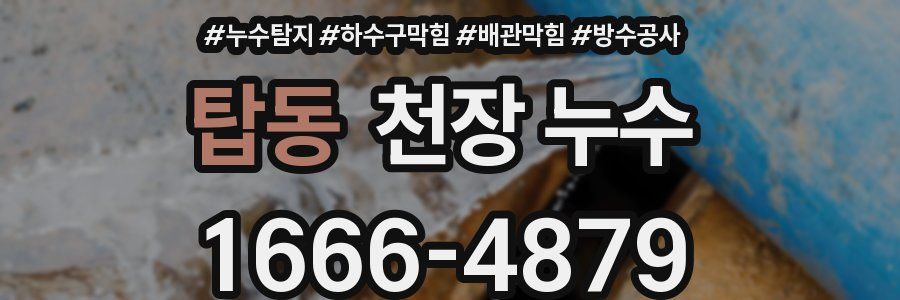 탑동 천장 누수