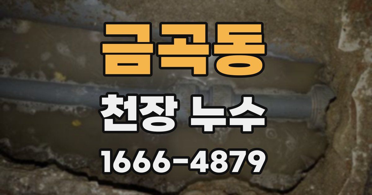 금곡동 천장 누수