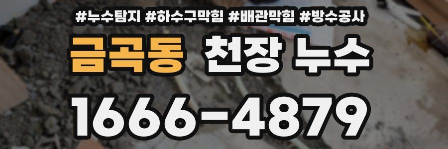 금곡동 천장 누수