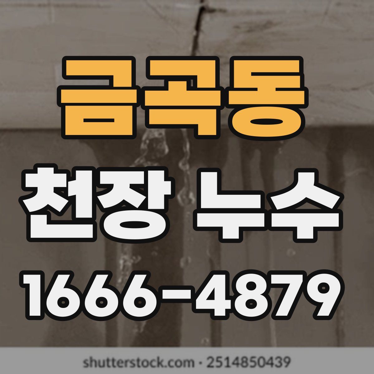 금곡동 천장 누수