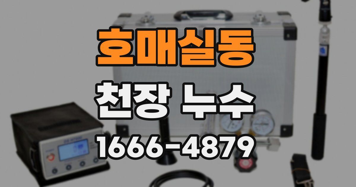 호매실동 천장 누수