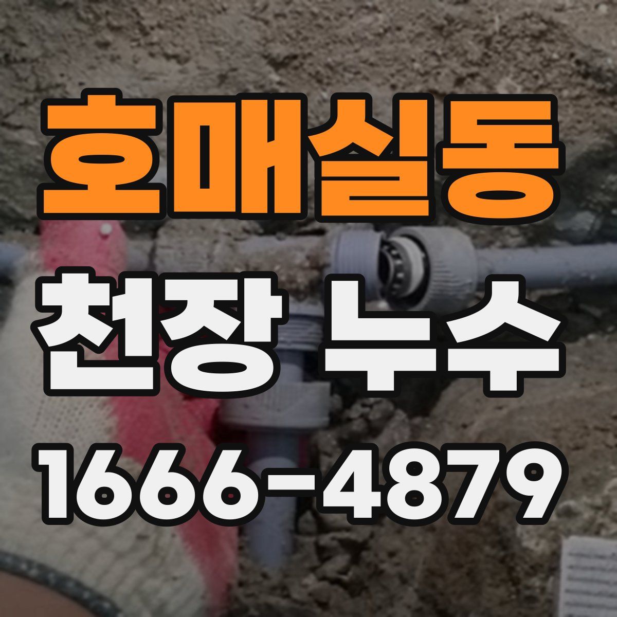 호매실동 천장 누수