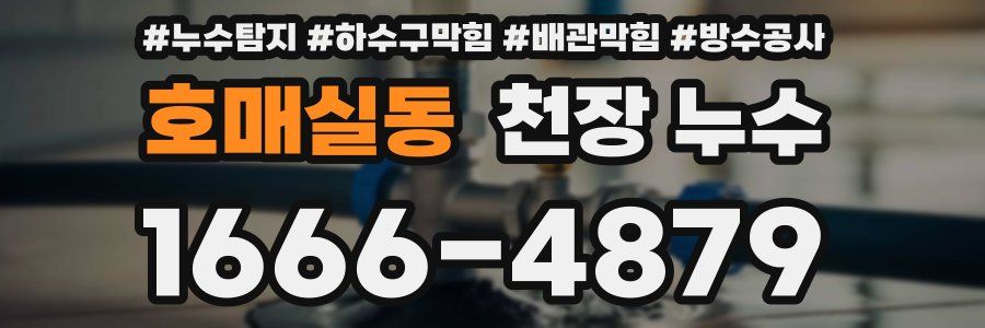 호매실동 천장 누수