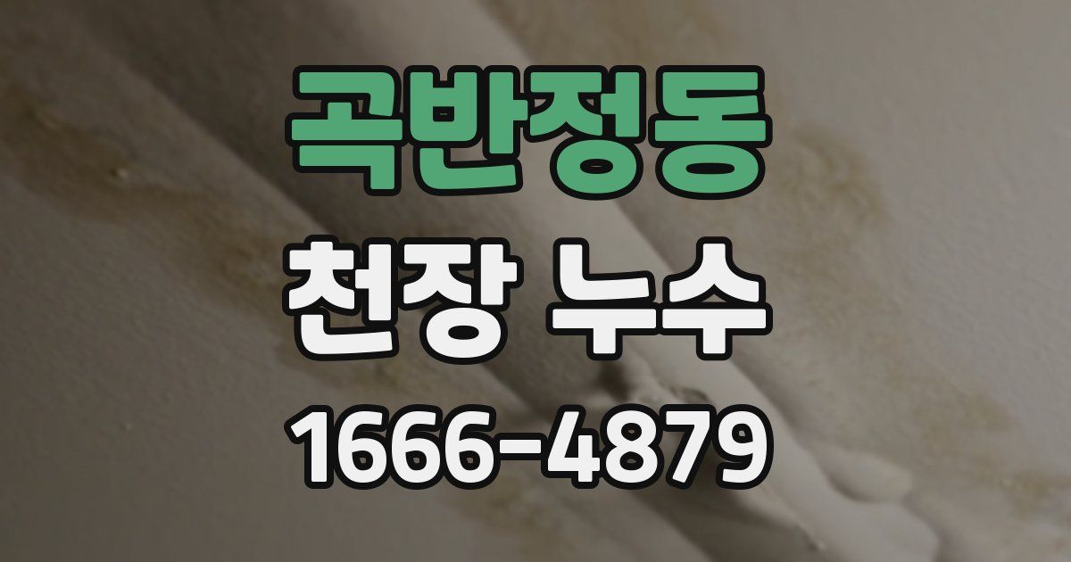 곡반정동 천장 누수