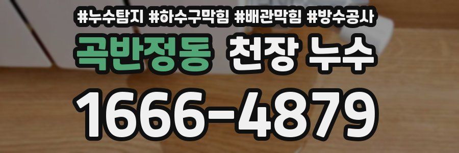 곡반정동 천장 누수