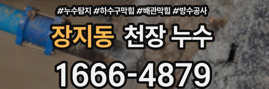 장지동 천장 누수