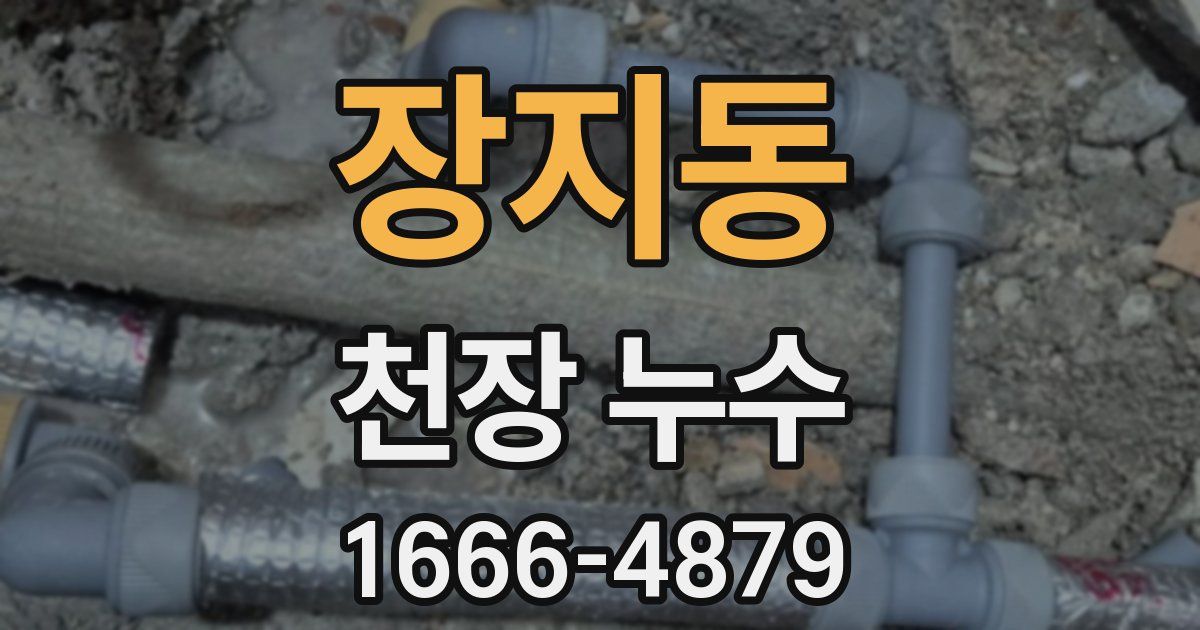 장지동 천장 누수
