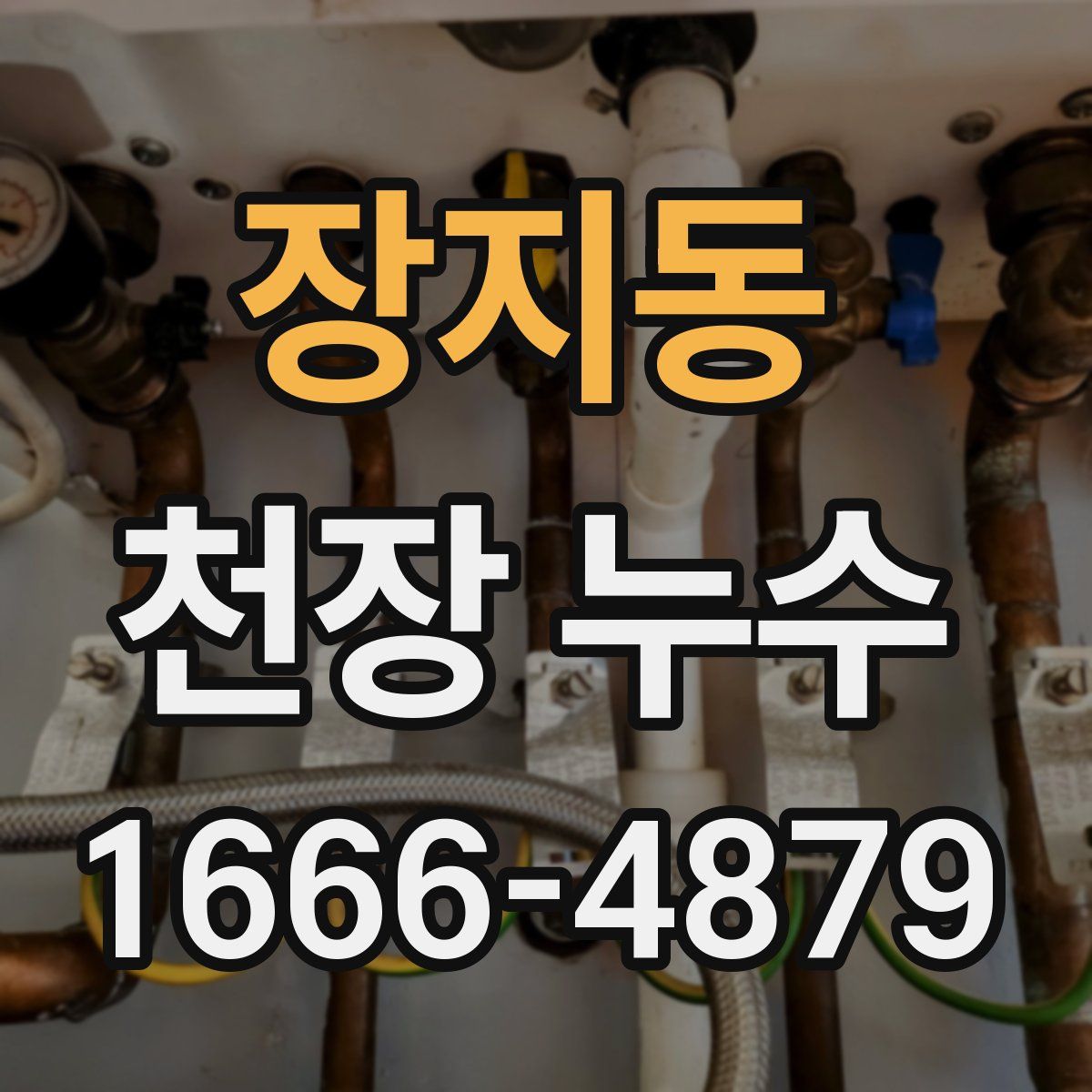 장지동 천장 누수