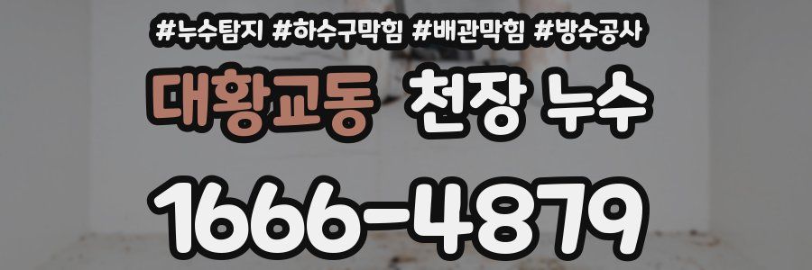대황교동 천장 누수