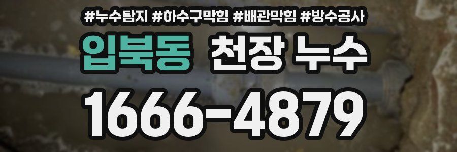 입북동 천장 누수
