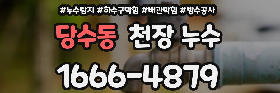 당수동 천장 누수