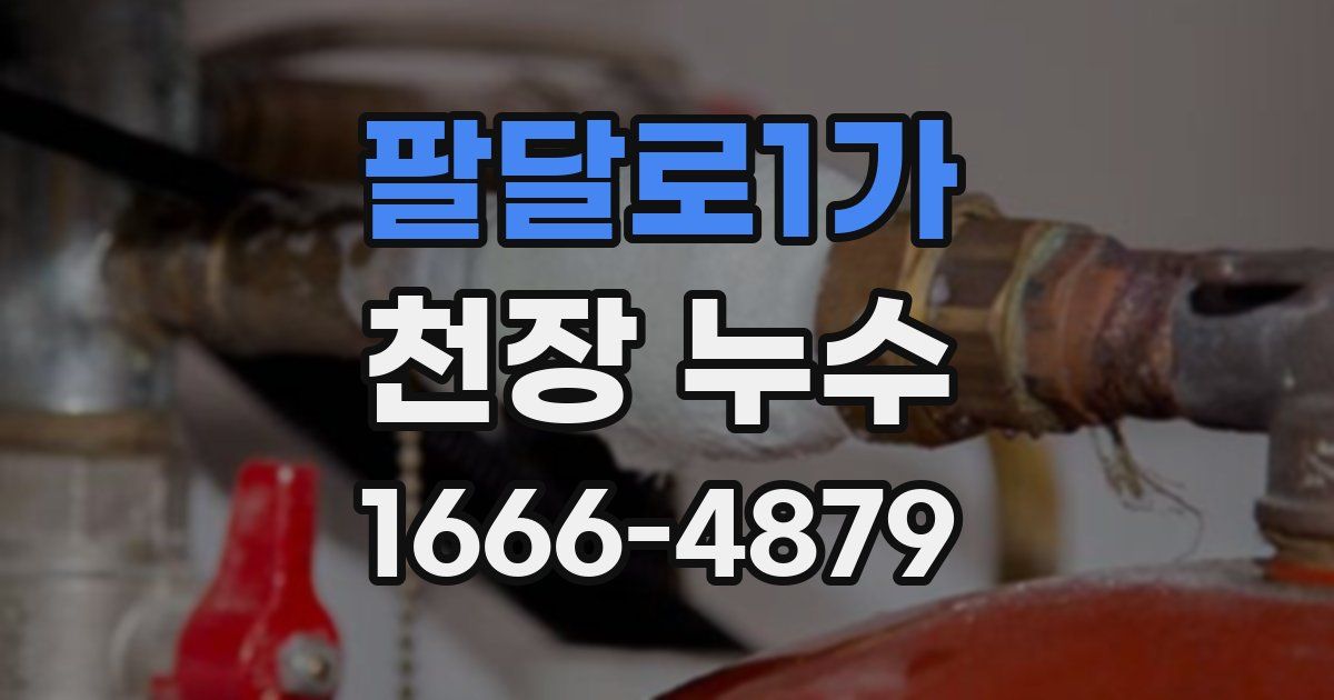 팔달로1가 천장 누수