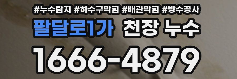 팔달로1가 천장 누수