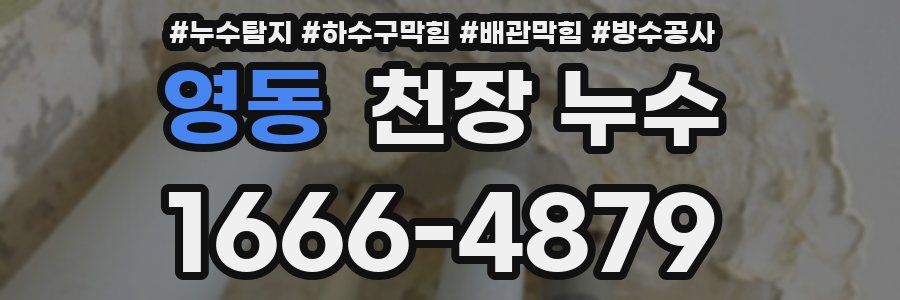 영동 천장 누수