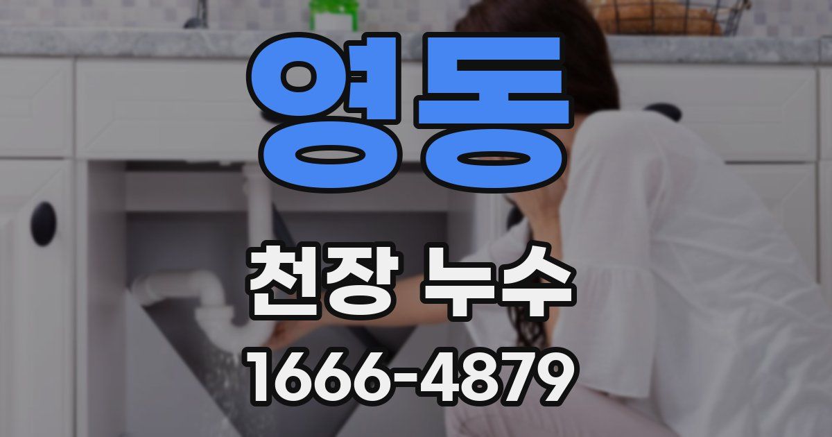 영동 천장 누수
