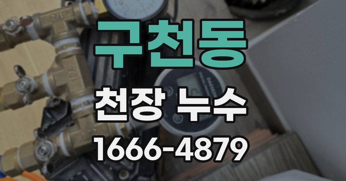 구천동 천장 누수