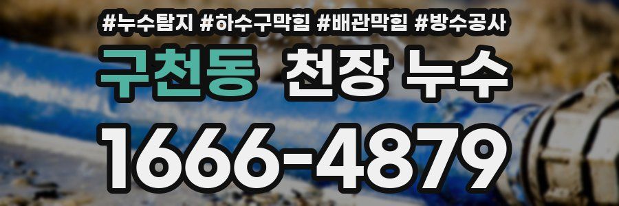 구천동 천장 누수