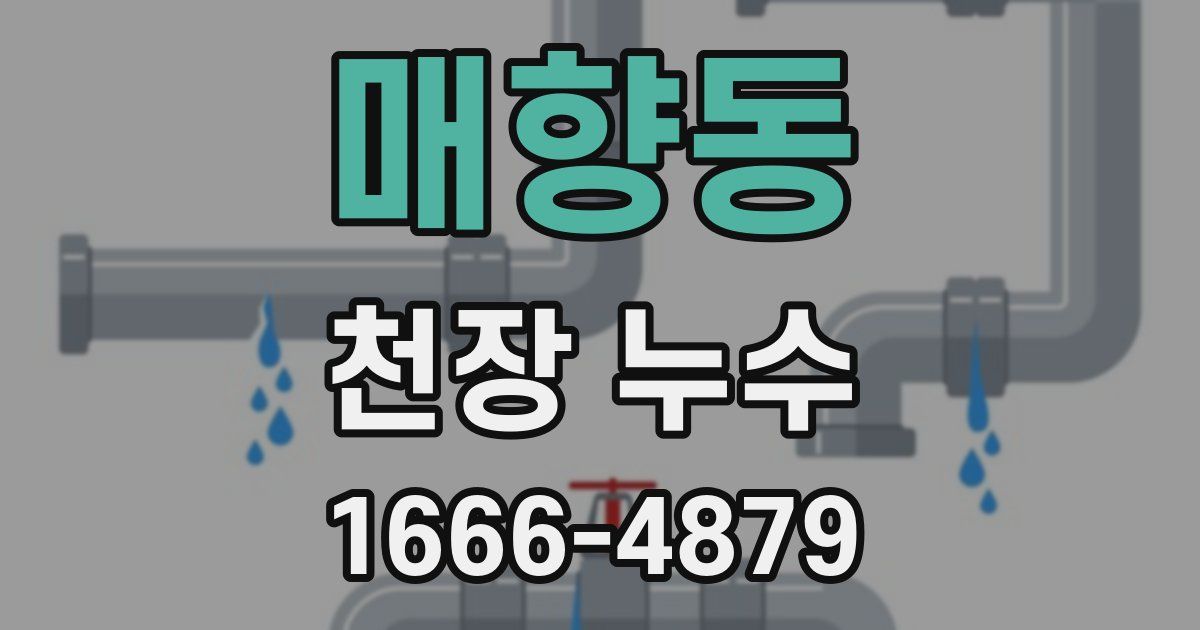 매향동 천장 누수