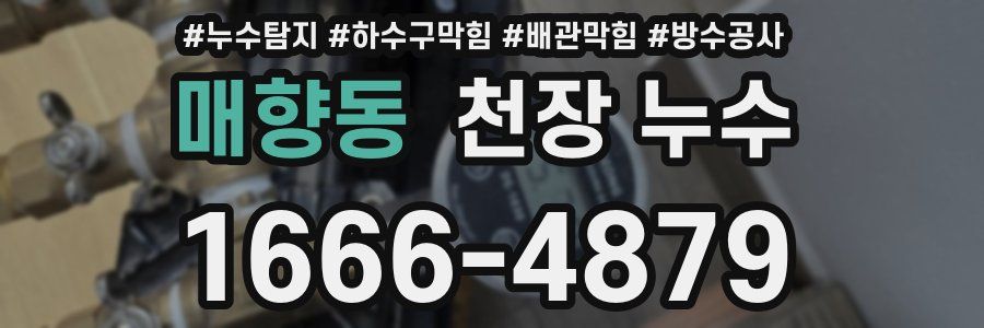 매향동 천장 누수