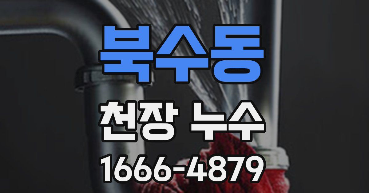 북수동 천장 누수