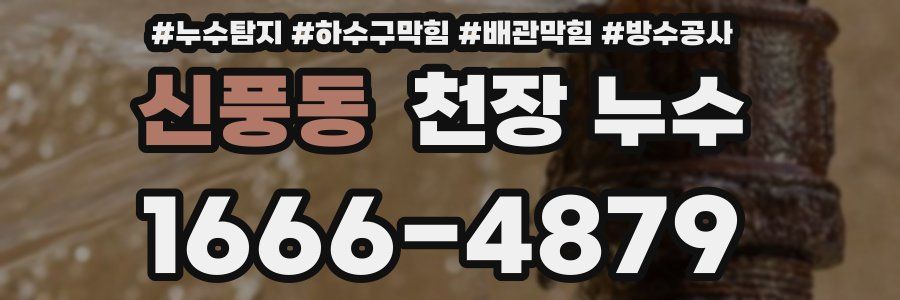 신풍동 천장 누수
